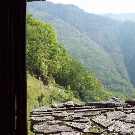 Appartamentino Nel Bosco Sondrio Ngoại thất bức ảnh