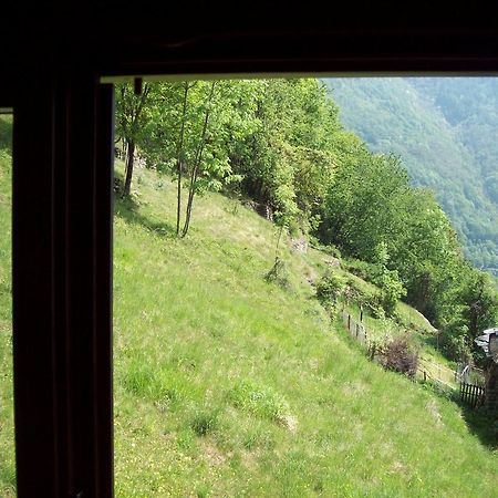 Appartamentino Nel Bosco Sondrio Ngoại thất bức ảnh