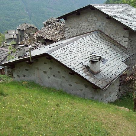 Appartamentino Nel Bosco Sondrio Ngoại thất bức ảnh
