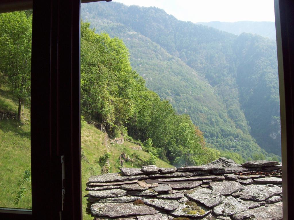 Appartamentino Nel Bosco Sondrio Ngoại thất bức ảnh