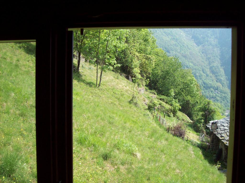 Appartamentino Nel Bosco Sondrio Ngoại thất bức ảnh