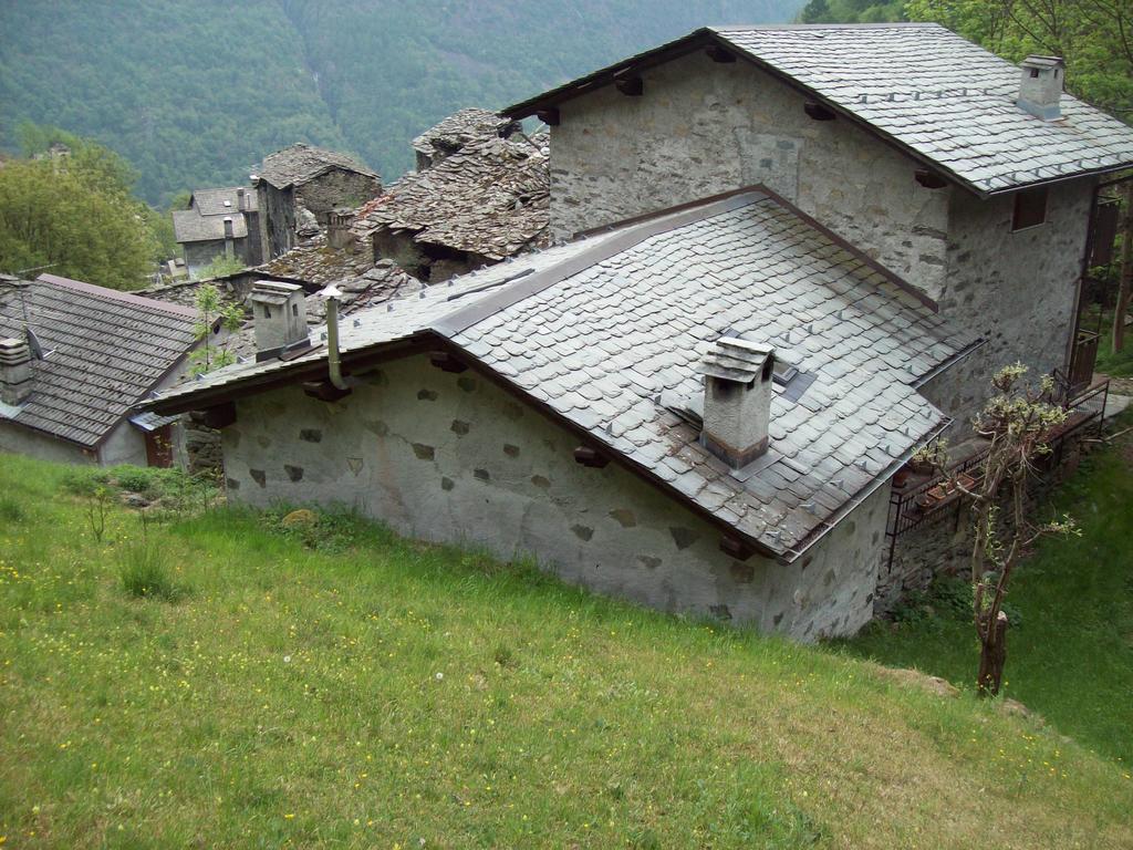Appartamentino Nel Bosco Sondrio Ngoại thất bức ảnh